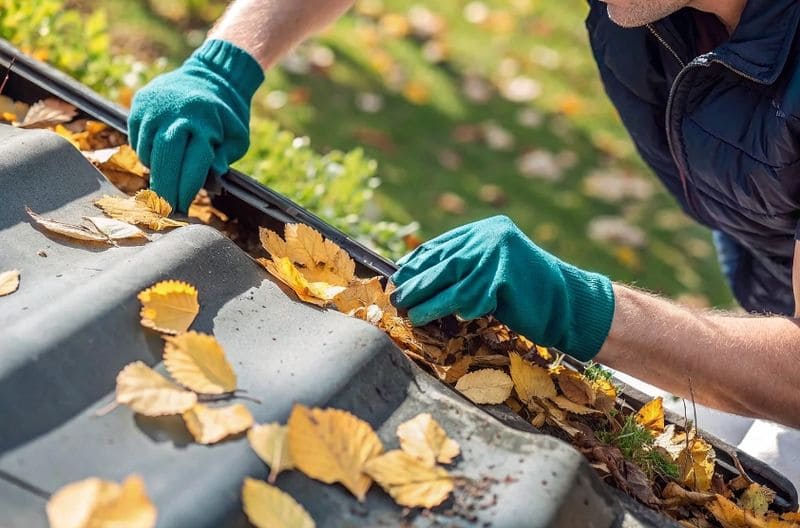 nettoyage gouttieres